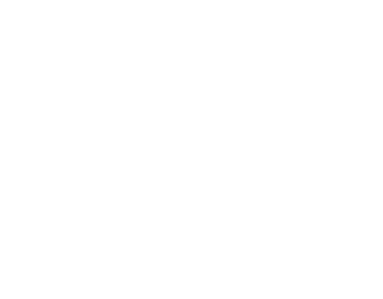 The Terp Bros logo